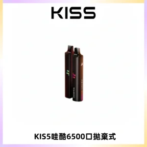 KIS5WAGOO哇酷6500口拋棄式 | 自由混搭雙口味 | 雙芯組合