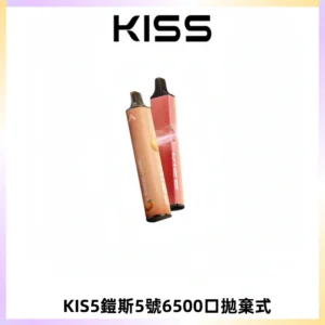 KIS5鎧斯5號一次性6500口磁吸式拋棄式電子煙#自由混搭#